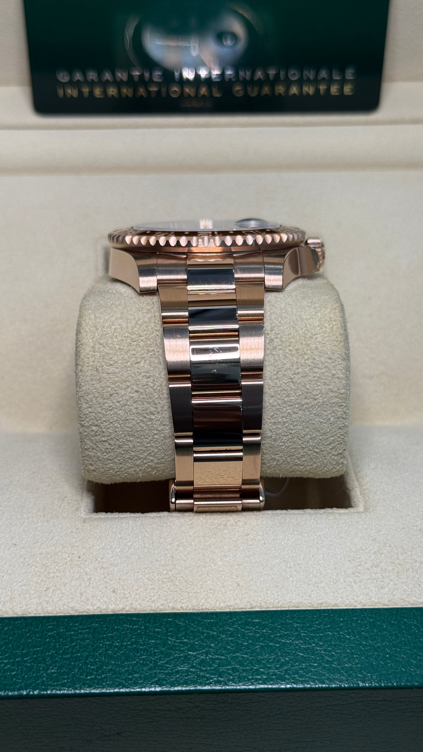 Rolex GMT-Master II Root Beer Black Dial on Oyster 126715CHNR Card 2023